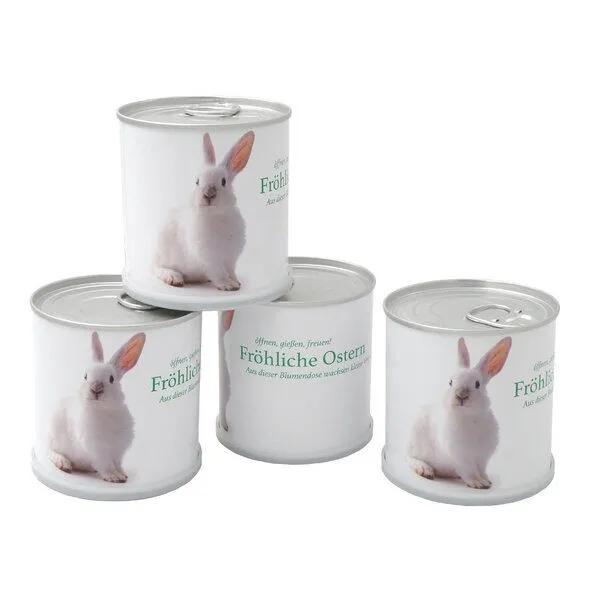 MacFlowers MacFlowers Ostergrüße Dosenset mit vier Blumensorten – Produktbild 1 von 2