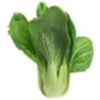 Deutschland Pak Choy – Produktbild 1 von 1