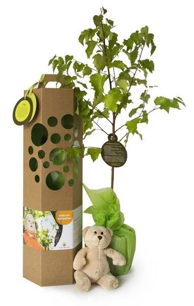SchenkeinBäumchen SchenkeinBäumchen Geburtsbaum inkl. Bärchen – Produktbild 5 von 6