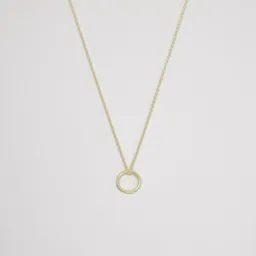 fejn jewelry fejn jewelry Kette 'medium circle' – Produktbild 1 von 1