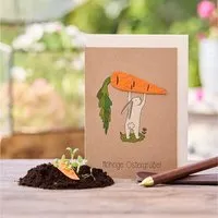 Die Stadtgärtner Die Stadtgärtner Osterkarte "Möhrige Grüße" I Karte zu Ostern I Ostergrußkarte mit Saatgut I Grußkarte "Frohe Ostern" – Produktbild 1 von 1