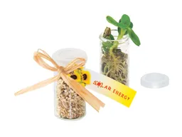 Bio Miniatur-Gewächshaus 'Sonnenblume' inklusive 1-4 farbigem Aufdruck – Produktbild 1 von 1