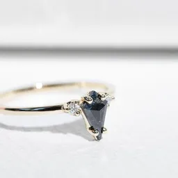 Eppi Eppi Goldring mit Salt and Pepper Diamant in Kiteform Adalia – Produktbild 1 von 1