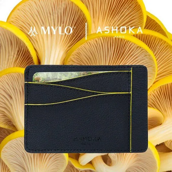 Ashoka Paris Ashoka Paris Großes Kartenetui aus Pilzleder Mylo Gelb – Produktbild 2 von 4