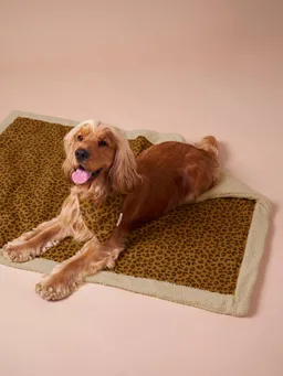 Vertbaudet Wendbare Hundedecke – Produktbild 1 von 1