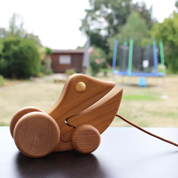 Mitienda Shop Mitienda Shop Ziehtier Frosch Emil aus Massivholz – Produktbild 3 von 3
