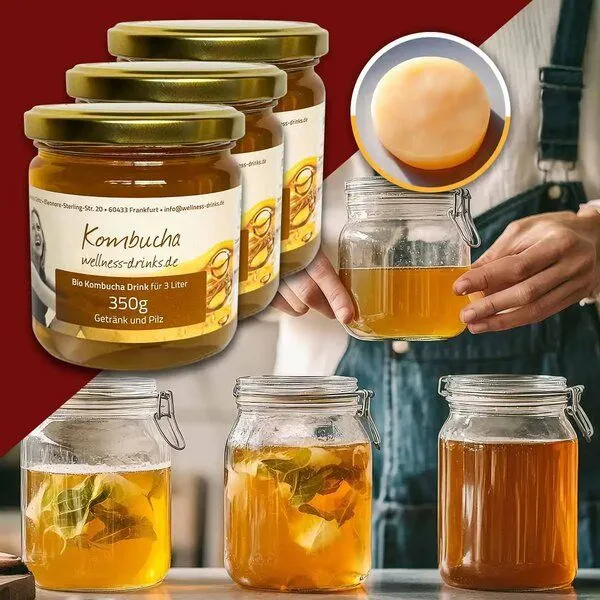 Wellness-Drinks Bio Kombucha mit Kombucha-Pilz (groß) – Produktbild 2 von 4