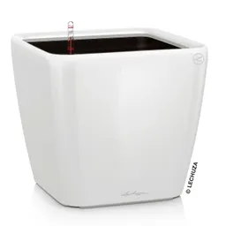 Lechuza® Lechuza® 'Quadro LS 50', weiß, ca. 50 x 50 x H 47 cm – Produktbild 1 von 1