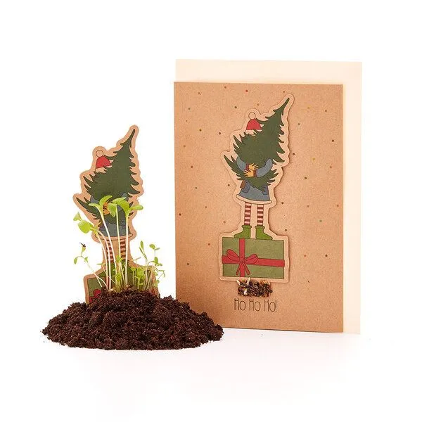 Die Stadtgärtner Die Stadtgärtner Nachhaltige Weihnachtskarte zum Einpflanzen mit Wichtel-Motiv inkl. Umschlag | Grußkarte Weihnachten mit Saatgut | Weihnachtsgrußkarte zum Verschenken | Klappkarte mit Aufschrift Ho! Ho! Ho! – Produktbild 1 von 2