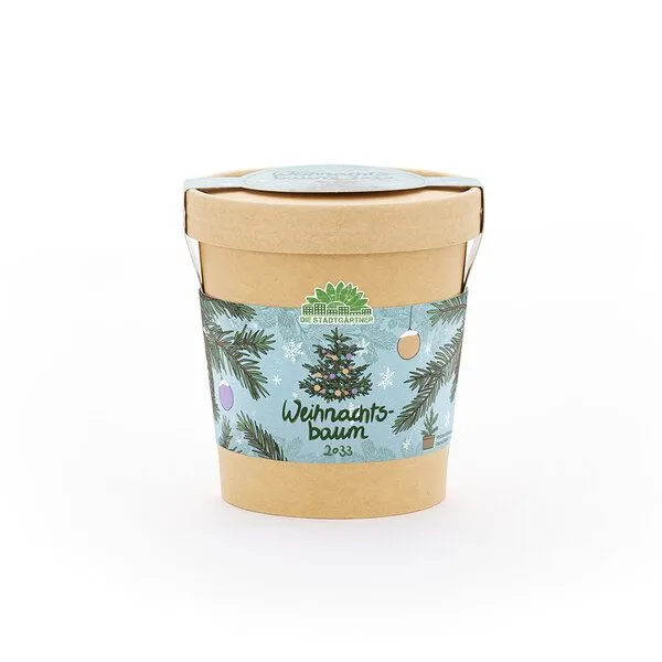 Die Stadtgärtner Die Stadtgärtner Weihnachtsbaum aus dem Becher Anzuchtset – Produktbild 3 von 4