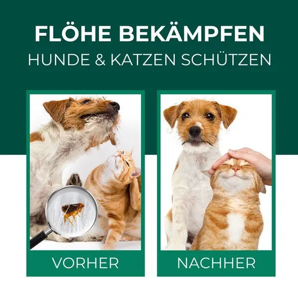 Silberkraft Silberkraft Flohspray Hunde & Katzen – Produktbild 2 von 4
