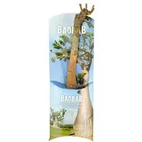 MyBaobab Végétaux d Ailleurs MyBaobab - Végétaux d´Ailleurs Baobab Setzling - Lebensbaum - S/M - Zimmerpflanze – Produktbild 1 von 1
