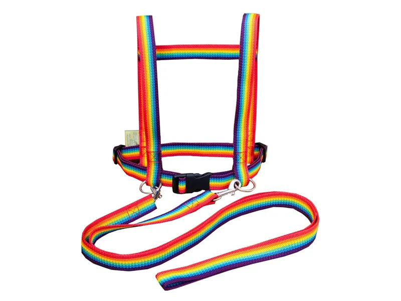 Jamso Jamso Pferdeleine und Halfter zum Spielen Maße 11 x 23 x 6,5 cm, Mehrfarbig, – Produktbild 1 von 2
