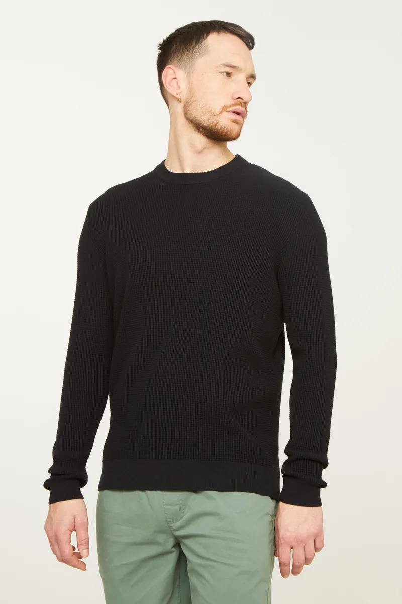 recolution Recolution Herren vegan Pullover Lupin Schwarz, Schwarz, – Produktbild 2 von 2