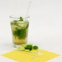 everstraw everstraw Glas Trinkhalm L – Produktbild 1 von 3