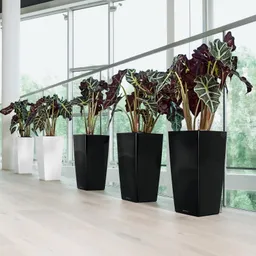 Lechuza® Lechuza® 'Cubico 40', schwarz, ca. 40 x 40 x H 75 cm – Produktbild 1 von 1