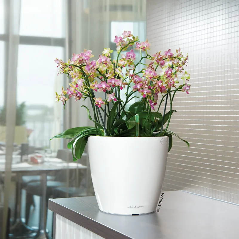 Lechuza® Lechuza® Pflanzkübel Lechuza Blumentopf rund Classico LS 28 weiß hochglanz Kunststoff mit – Produktbild 6 von 6