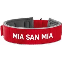 Hunter Hunter Halsband Neopren FC Bayern München 45 cm – Produktbild 1 von 1