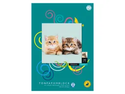 Tonpapierblock "Edition Dürer" geleimt DIN A4 20 Blatt 130 g/m² – Produktbild 1 von 1