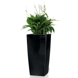 Lechuza® Lechuza® 'Cubico 30', schwarz, ca. 29,5 x 29,5 x H 56,5 cm – Produktbild 1 von 1