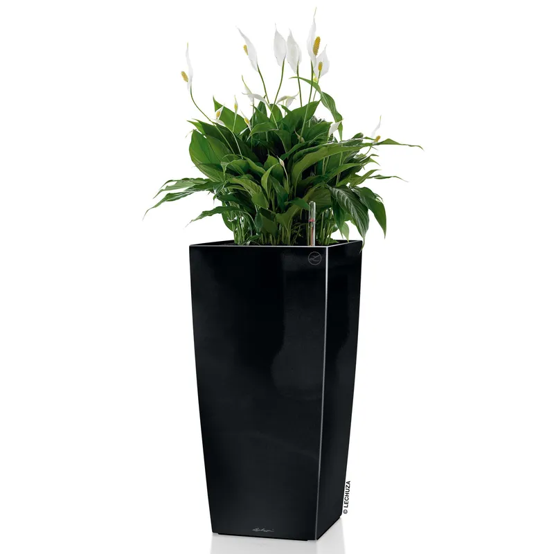 Lechuza® Lechuza® 'Cubico 30', schwarz, ca. 29,5 x 29,5 x H 56,5 cm, Schwarz, – Produktbild 1 von 1