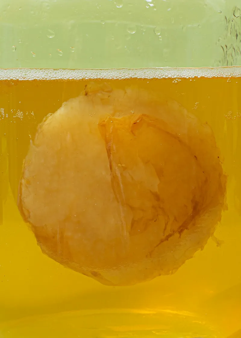 KoRo Bio Kombucha Scoby – Produktbild 2 von 5