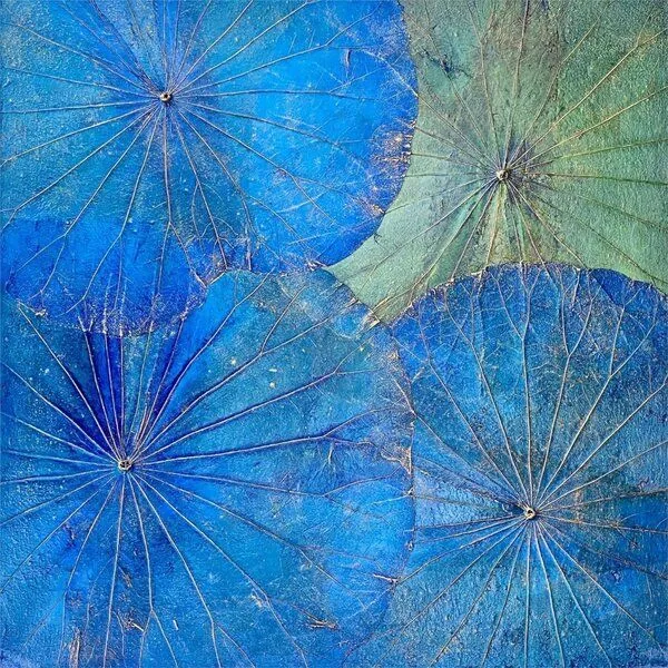 Der Lindwurm Der Lindwurm Lotuswandbild ca. 48x 48cm, Blau, – Produktbild 1 von 3