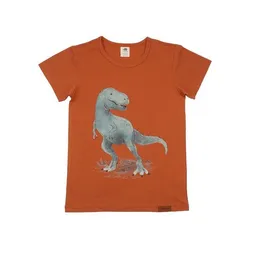 Walkiddy Baby T-Shirt GOTS zertifiziert Bio-Baumwolle 95/5 Elasthan Braun Dino-Print „Dinosaurland“ weich – Walkiddy – Produktbild 1 von 1