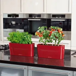 Lechuza® Lechuza® 'Delta 20', scarlet-rot, ca. 40 x 15 x H 18 cm – Produktbild 1 von 1