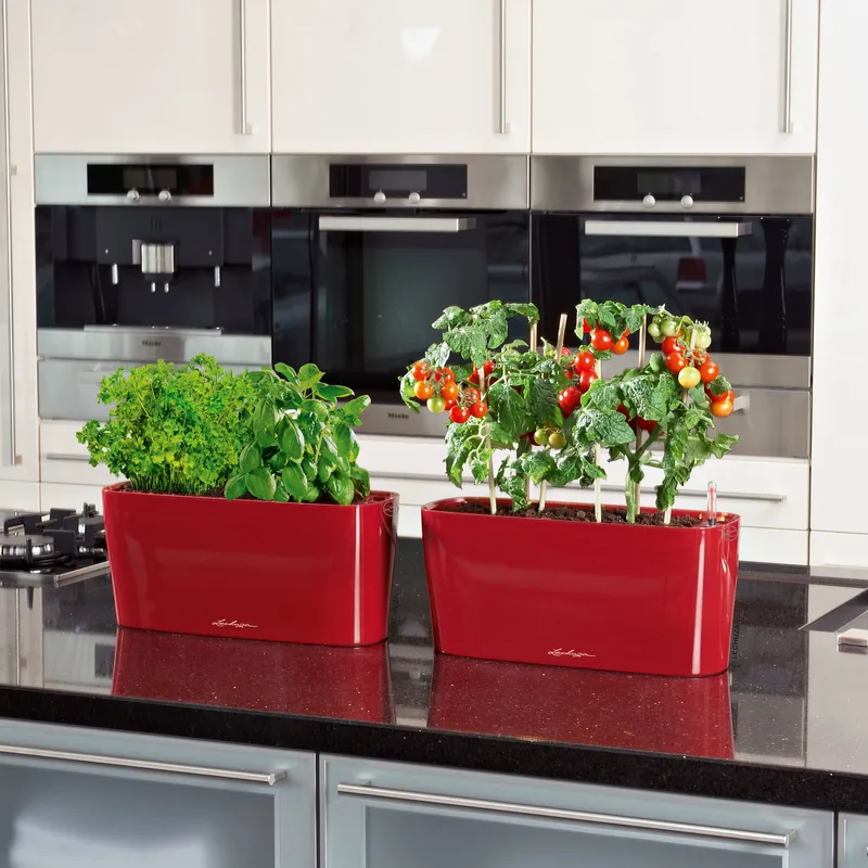 Lechuza® Lechuza® 'Delta 20', scarlet-rot, ca. 40 x 15 x H 18 cm, Rot, – Produktbild 1 von 1