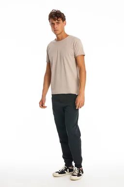 RAVENS VIEW IBIZA RAVENS VIEW IBIZA Herren vegan T-Shirt Rundhalsausschnitt Wild Stone Grey – Produktbild 1 von 1