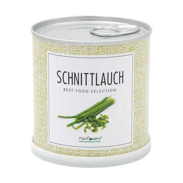 MacFlowers MacFlowers Echter Schnittlauch - Allium schoenoprasum in der Dose – Produktbild 1 von 3