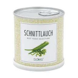 MacFlowers MacFlowers Blumengrüße - Echter Schnittlauch - Allium schoenoprasum in der Dose – Produktbild 1 von 1