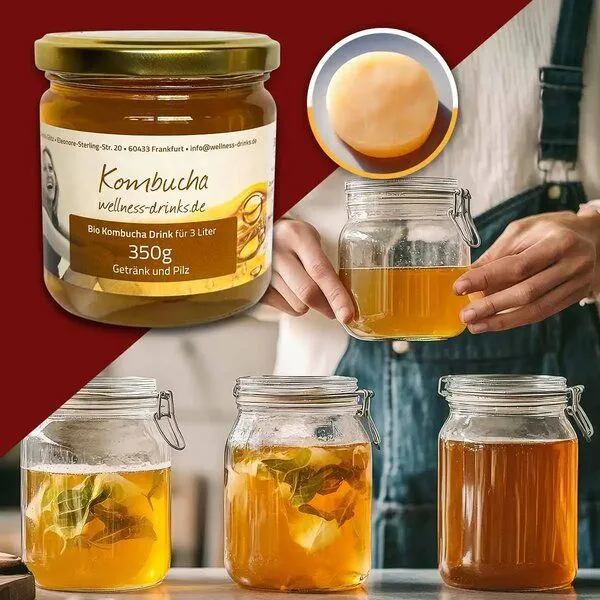 Wellness-Drinks Bio Kombucha mit Kombucha-Pilz (mittel) – Produktbild 2 von 4