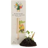 Die Stadtgärtner Die Stadtgärtner Bleistift mit Samenkapsel & Wildblumen-Saatgut | HB Bleistift zum Schreiben & Einpflanzen | Wächst nach Gebrauch weiter | Kreative Geschenkidee für Kinder, Schule & Schulalltag – Produktbild 1 von 1