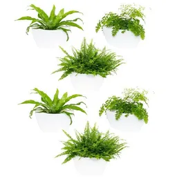 CitySens CitySens 6er-Pack Wand-Blumentopf – Produktbild 1 von 1