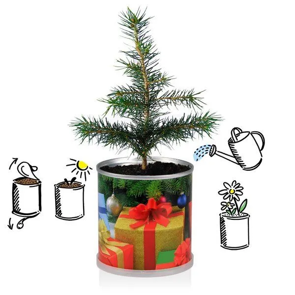 MacFlowers Weihnachtsbaum in der Dose - nostalgische Sterne von MacFlowers – Produktbild 2 von 3