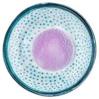 Tranquillo TRANQUILLO Glasschüssel FLOATING HUES versch. Modelle, Blau-lila gla040, – Produktbild 1 von 1