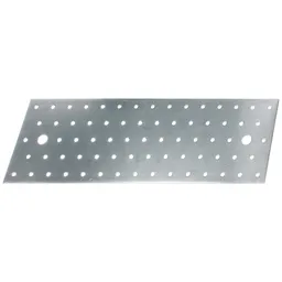 Alberts ALBERTS Lochplatte, sendzimirverzinkt, LxB 300x100 mm – Produktbild 1 von 1