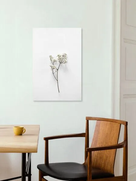 Photocircle Photocircle Poster / Leinwandbild - White Beauty – Produktbild 8 von 8