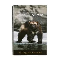 Patagonia Patagonia The Wolverine Way – Produktbild 1 von 1