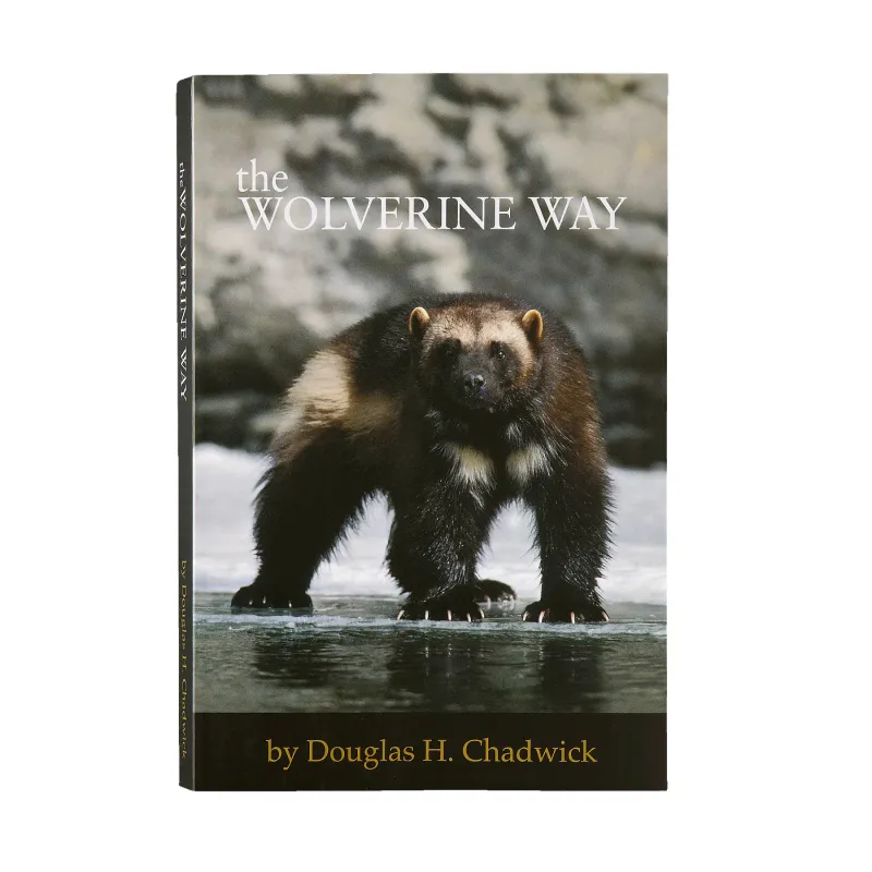 Patagonia Patagonia The Wolverine Way, Noir, – Produktbild 1 von 1