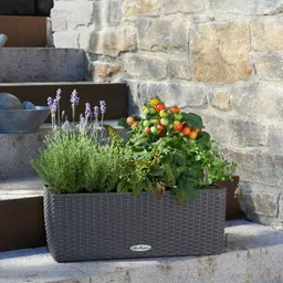 Lechuza® Lechuza® 'Balconera Cottage 50', granit, ca. 50 x 19 x H 19 cm – Produktbild 1 von 1