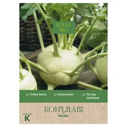 Kölle Bio Kölle Bio Saatgut Kohlrabi 'Noriko' – Produktbild 1 von 1