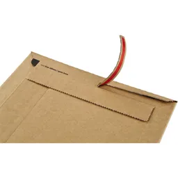 ColomPac ColomPac® Versandtasche Rigid Plus 290 x 400 x -50 mm (B x H x T) – Produktbild 1 von 1