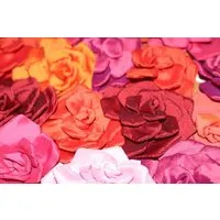 Schönes aus Indochina Schönes aus Indochina Seidenrose, Rotpink, – Produktbild 1 von 1