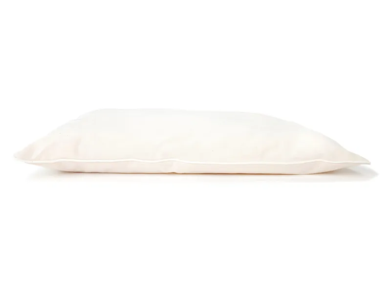 HANS NATUR Kopfkissen mit Schurwoll-Füllung (kbT) 35x40cm, 150g, Perkal-Inlett – Produktbild 1 von 2