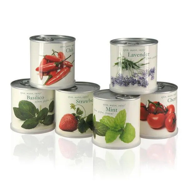 MacFlowers MacFlowers Pflanzen in der Dose, Basilikum, – Produktbild 2 von 4