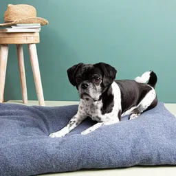 nahtur-design nahtur-design Hunde- und Katzenkissen | Dinkelkissen mit Wechselbezug – Produktbild 1 von 1