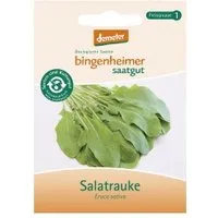 Bingenheimer Saatgut Rucola / Salatrauke – Produktbild 1 von 1